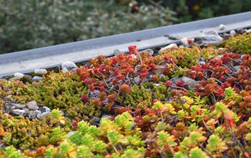 the cost of Bradley In The Moors green roof installation