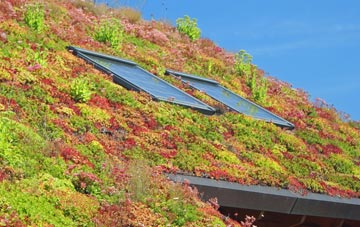 Bradley In The Moors living roof systems