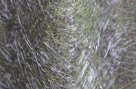 Bradley In The Moors fibreglass roof work